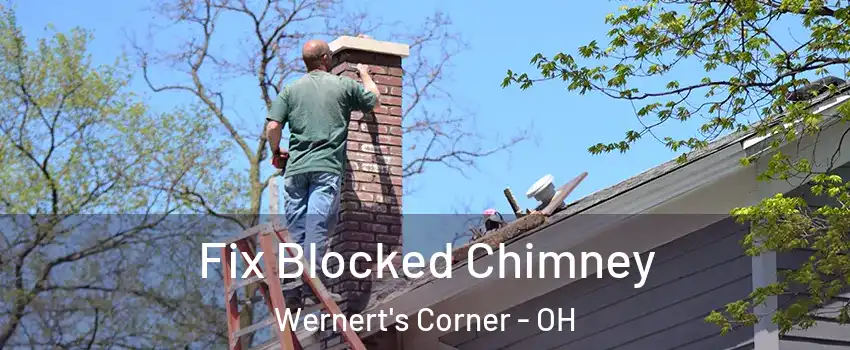 Fix Blocked Chimney Wernert's Corner - OH