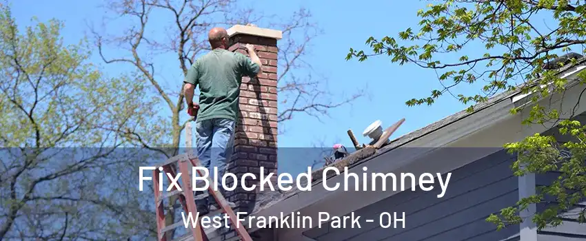 Fix Blocked Chimney West Franklin Park - OH