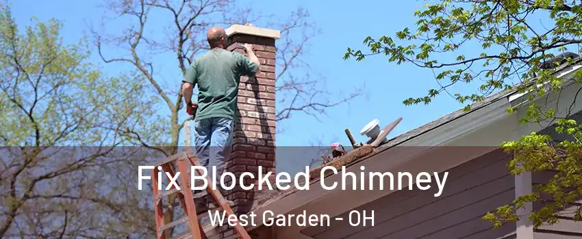Fix Blocked Chimney West Garden - OH