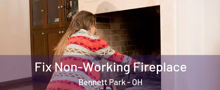 Fix Non-Working Fireplace Bennett Park - OH