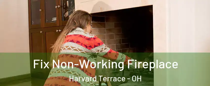 Fix Non-Working Fireplace Harvard Terrace - OH