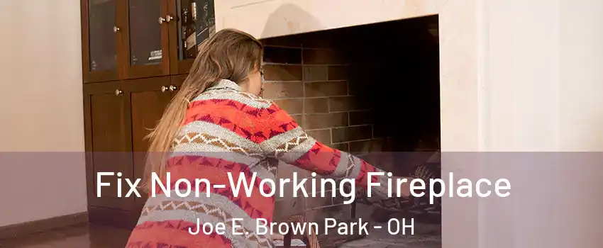 Fix Non-Working Fireplace Joe E. Brown Park - OH