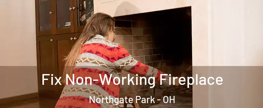 Fix Non-Working Fireplace Northgate Park - OH