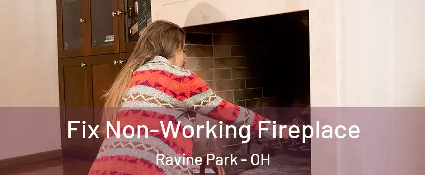 Fix Non-Working Fireplace Ravine Park - OH
