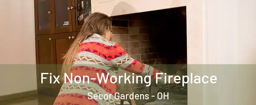Fix Non-Working Fireplace Secor Gardens - OH