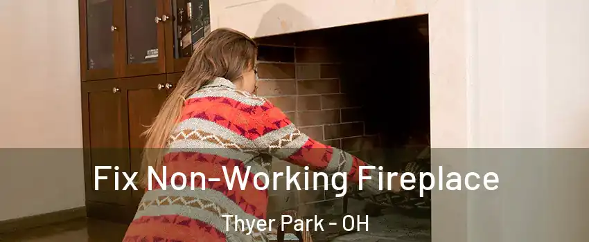 Fix Non-Working Fireplace Thyer Park - OH