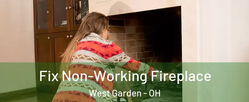 Fix Non-Working Fireplace West Garden - OH