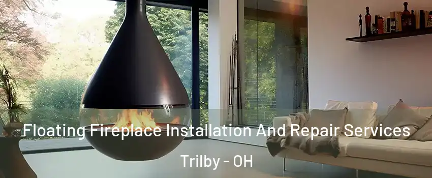 Floating Fireplace Installation And Repair Services Trilby - OH