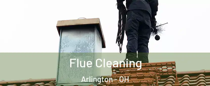 Flue Cleaning Arlington - OH