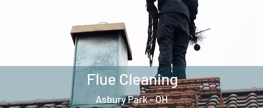 Flue Cleaning Asbury Park - OH