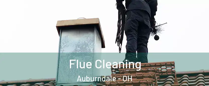 Flue Cleaning Auburndale - OH