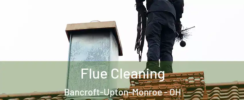 Flue Cleaning Bancroft-Upton-Monroe - OH