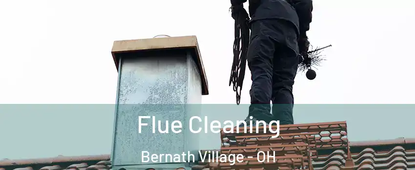 Flue Cleaning Bernath Village - OH