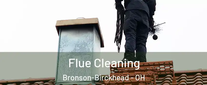 Flue Cleaning Bronson-Birckhead - OH