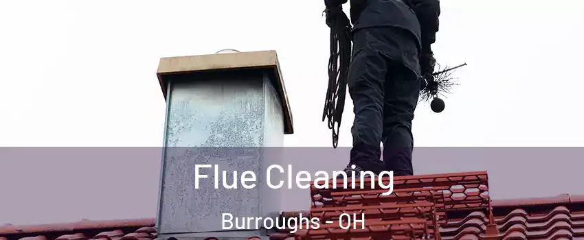 Flue Cleaning Burroughs - OH