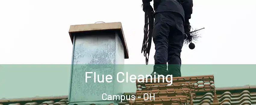 Flue Cleaning Campus - OH