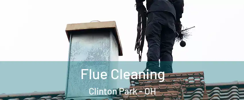 Flue Cleaning Clinton Park - OH