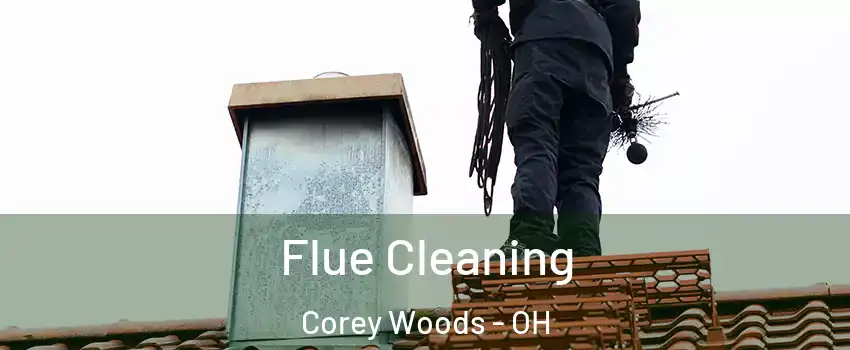 Flue Cleaning Corey Woods - OH