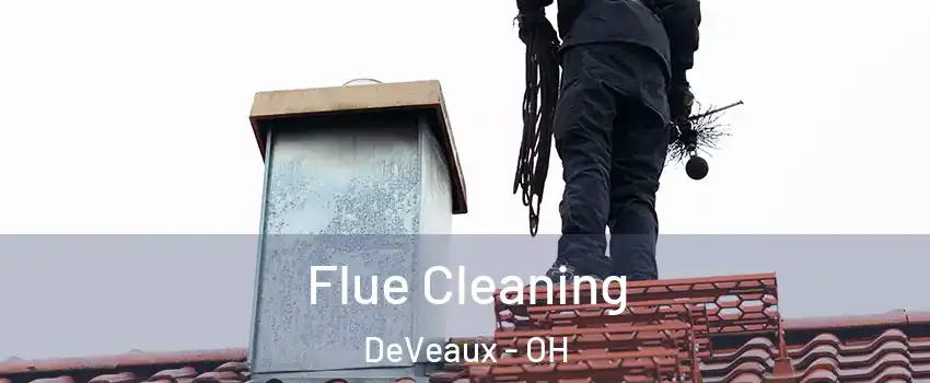 Flue Cleaning DeVeaux - OH