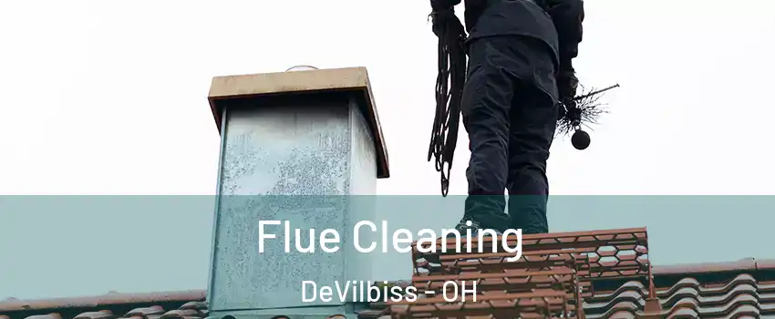 Flue Cleaning DeVilbiss - OH