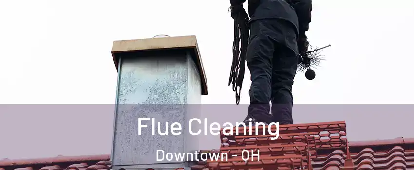 Flue Cleaning Downtown - OH