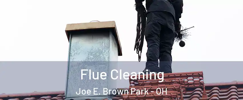 Flue Cleaning Joe E. Brown Park - OH