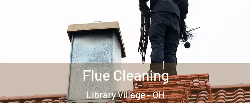 Flue Cleaning Library Village - OH