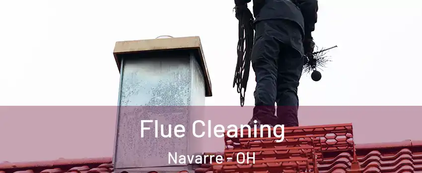 Flue Cleaning Navarre - OH