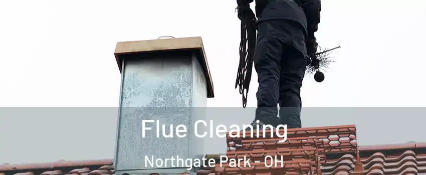 Flue Cleaning Northgate Park - OH