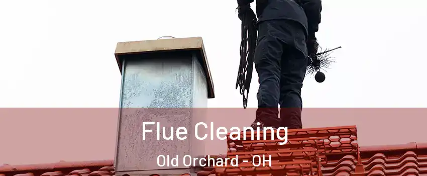 Flue Cleaning Old Orchard - OH