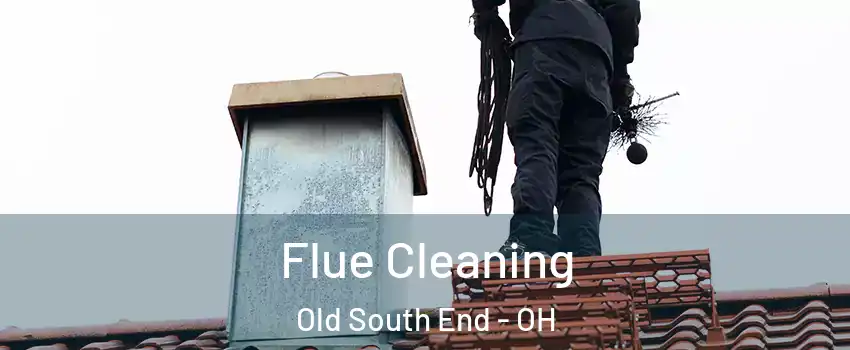 Flue Cleaning Old South End - OH