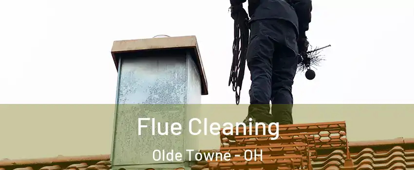Flue Cleaning Olde Towne - OH