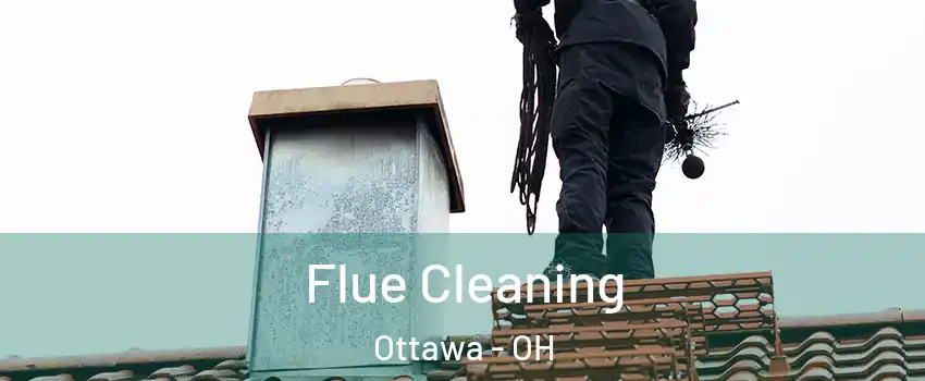 Flue Cleaning Ottawa - OH