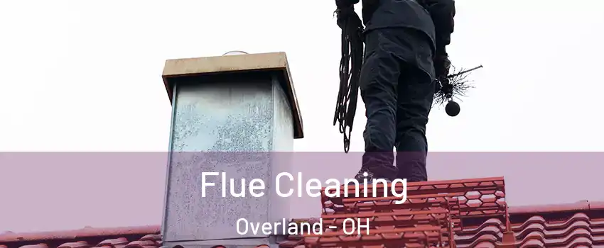 Flue Cleaning Overland - OH