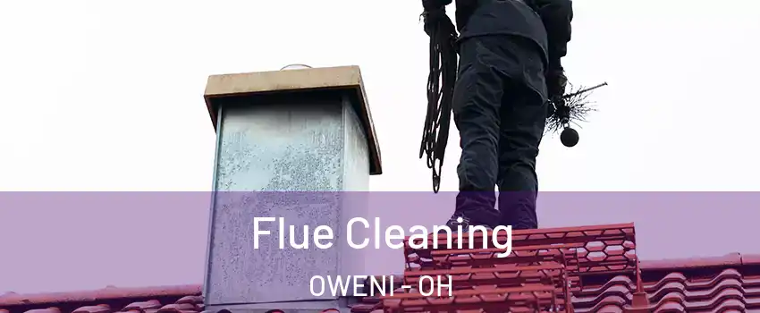Flue Cleaning OWENI - OH
