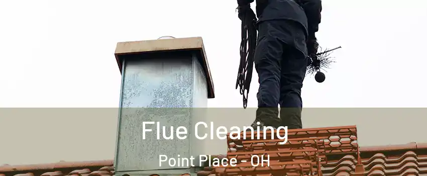 Flue Cleaning Point Place - OH