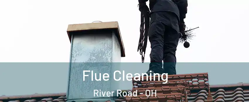 Flue Cleaning River Road - OH