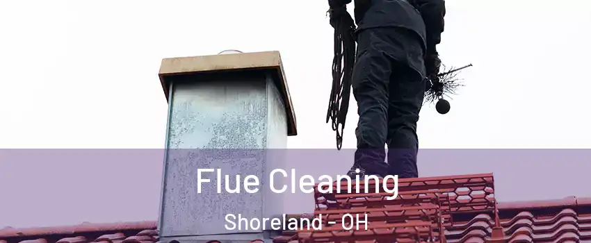 Flue Cleaning Shoreland - OH