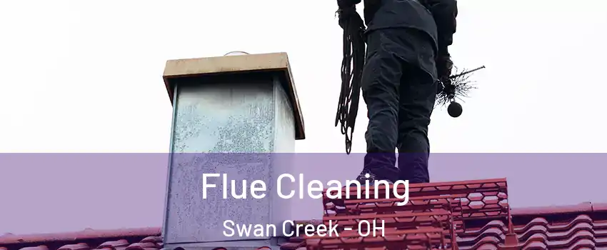 Flue Cleaning Swan Creek - OH