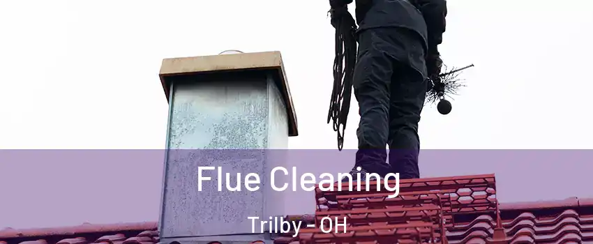 Flue Cleaning Trilby - OH