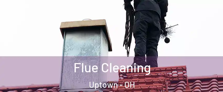 Flue Cleaning Uptown - OH