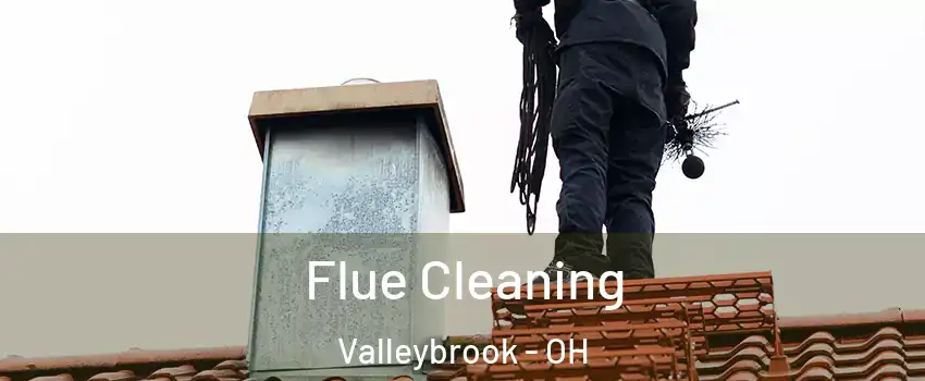 Flue Cleaning Valleybrook - OH