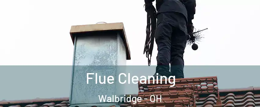 Flue Cleaning Walbridge - OH