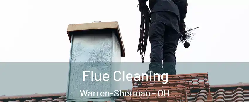 Flue Cleaning Warren-Sherman - OH