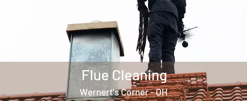 Flue Cleaning Wernert's Corner - OH