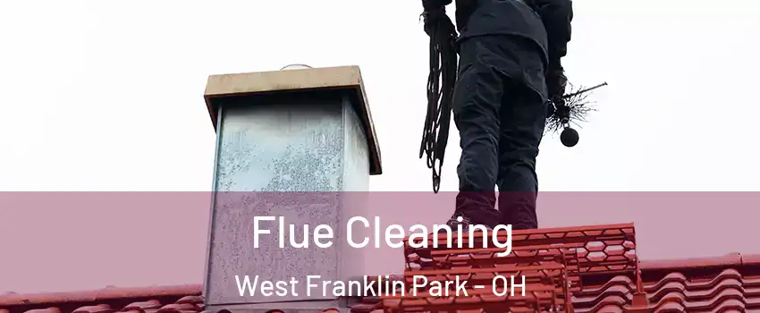 Flue Cleaning West Franklin Park - OH