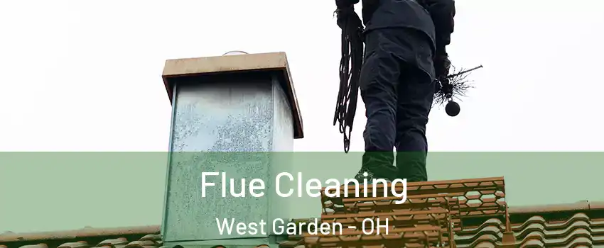 Flue Cleaning West Garden - OH