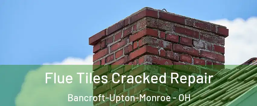 Flue Tiles Cracked Repair Bancroft-Upton-Monroe - OH