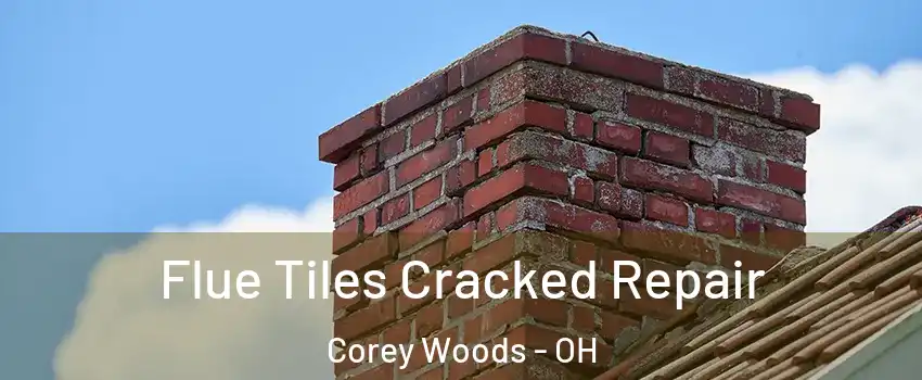Flue Tiles Cracked Repair Corey Woods - OH
