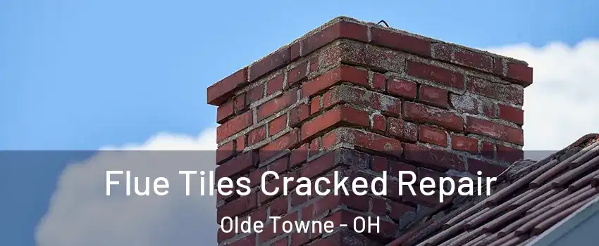 Flue Tiles Cracked Repair Olde Towne - OH